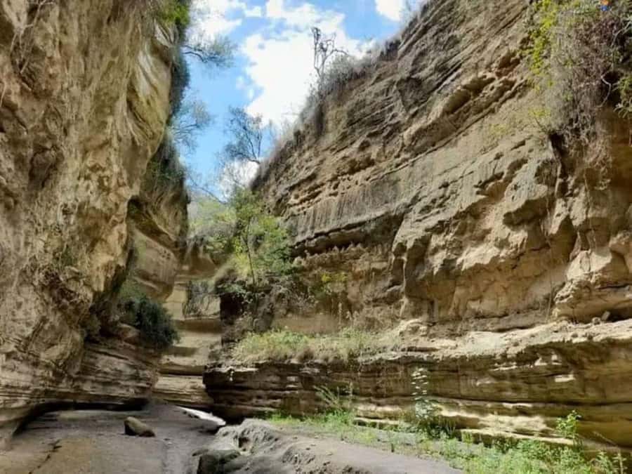 Nairobi:Group Hell's Gate National Park & Lake Naivasha Tour - What the guides add to the day