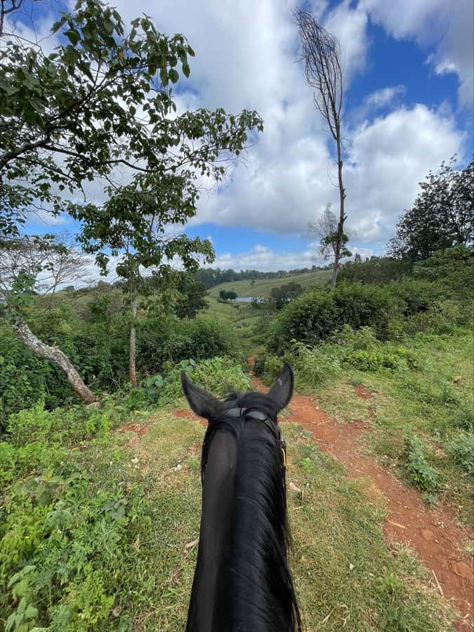 Nairobi: Horseback Riding Tour Through Maize Plantation - Through the maize plantation