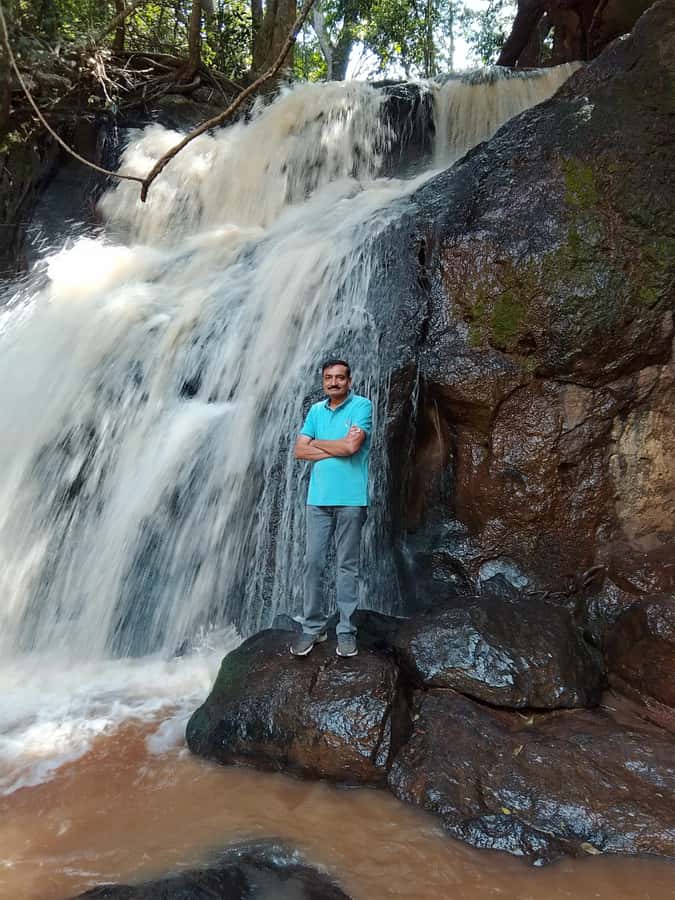 Nairobi: Karura Forest Guided Walking Tour - Weather, Shoes, and Small Practical Details