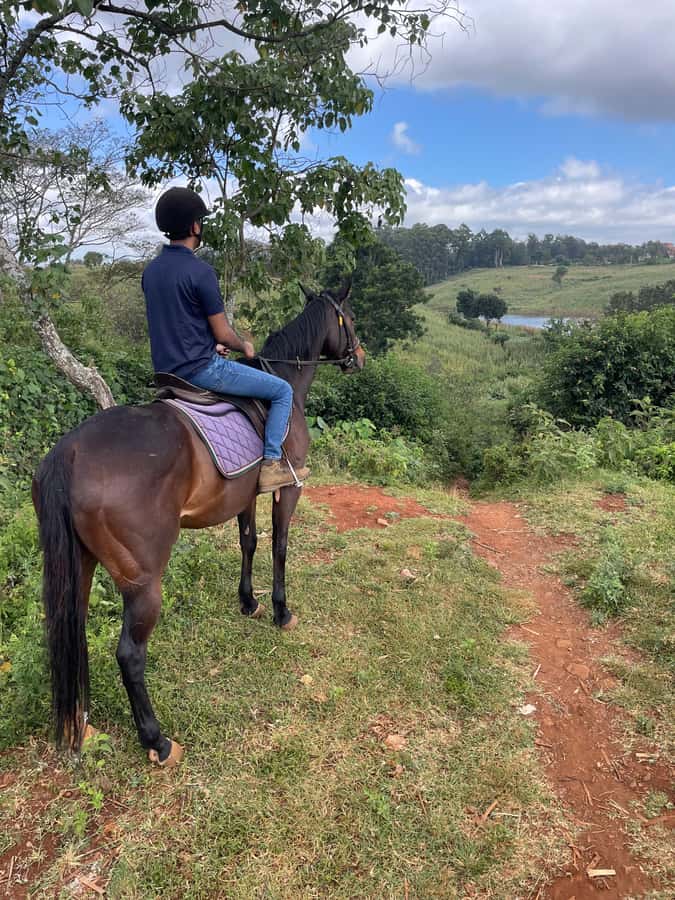 Nairobi: Karura Forest Horseback Riding Tour - A quiet way to see Karura Forest