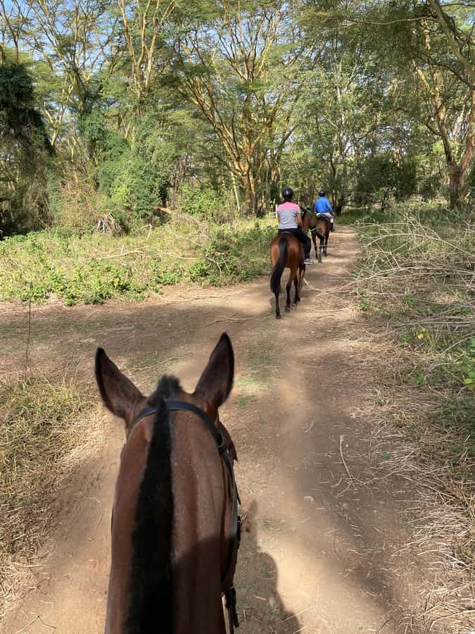 Nairobi: Karura Forest Horseback Riding Tour - Finding Sigiria Gate before the ride