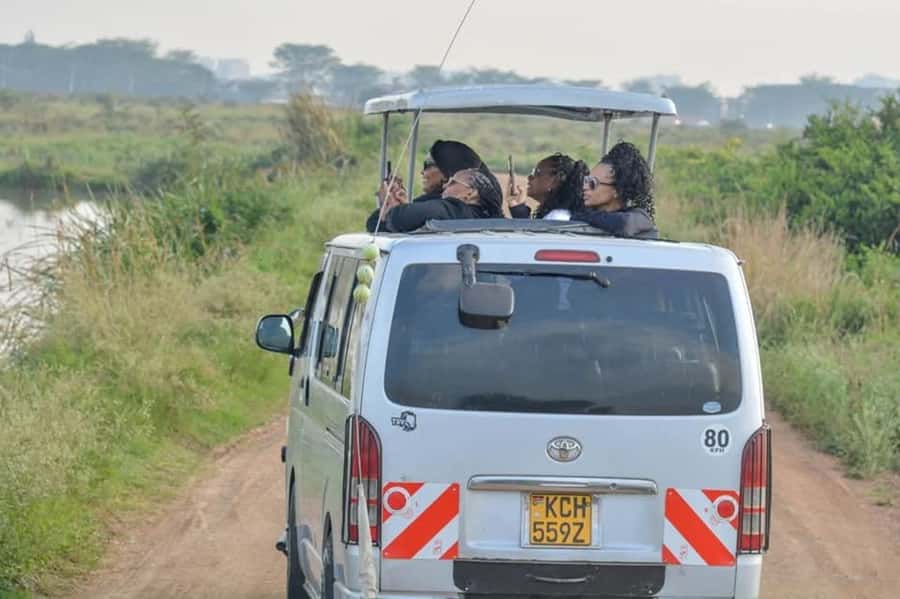 Nairobi: Nairobi National Park Half-Day Game Drive - Four hours among rhinos, lions, and giraffes