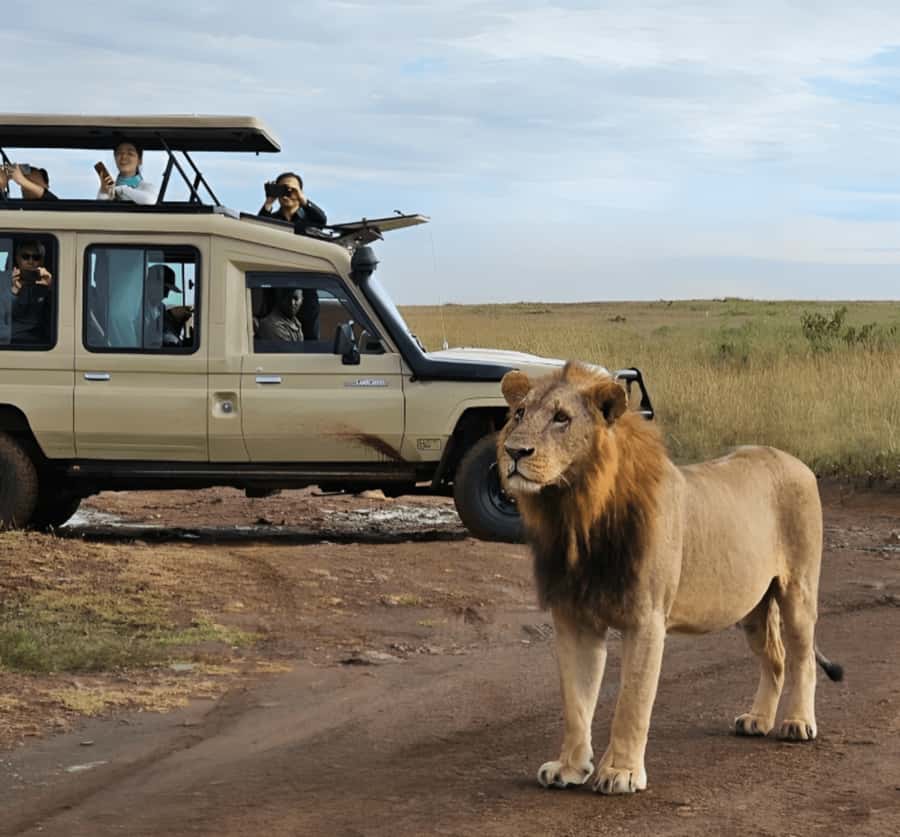 Nairobi: Nairobi National Park Half-Day Game Drive - The 30-minute ride from Nairobi