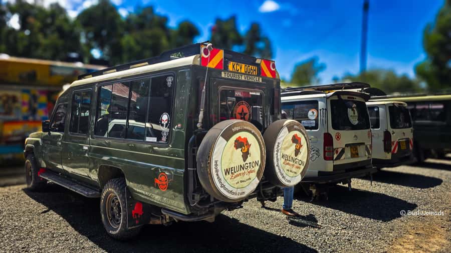 Nairobi National Park 5-hour Guided Game Drive Free Pick up - Who will get the most from this half-day safari?