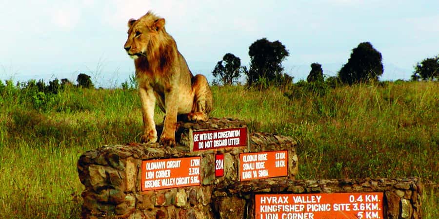 Nairobi National Park –Adventure at City’s Edge Free PickUp - Key things to know before you book