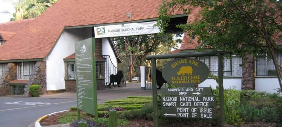 Nairobi National Park –Adventure at City’s Edge Free PickUp - The morning pickup and open-roof van