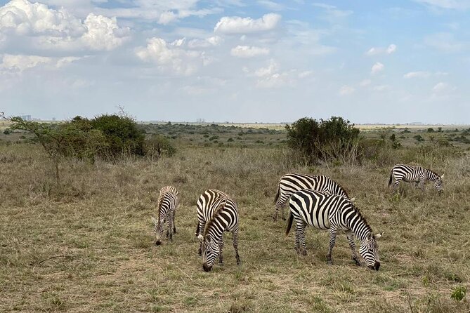 Nairobi national park and Giraffe center - Eight hours, with hotel pickup included