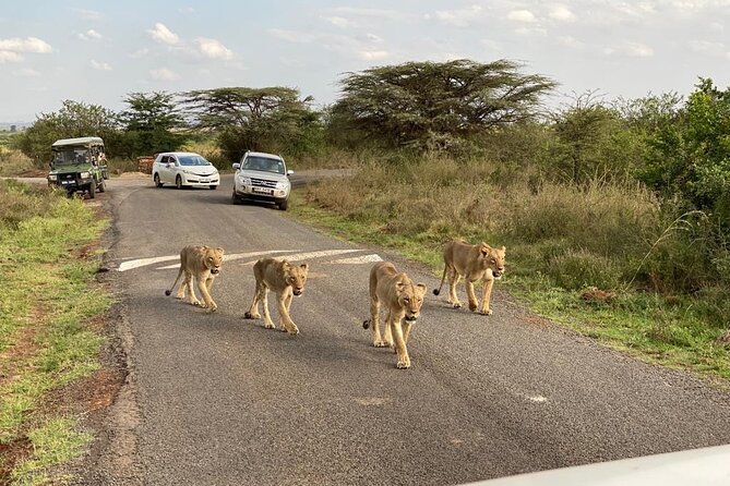 Nairobi national park and Giraffe center - Practical ways to prepare