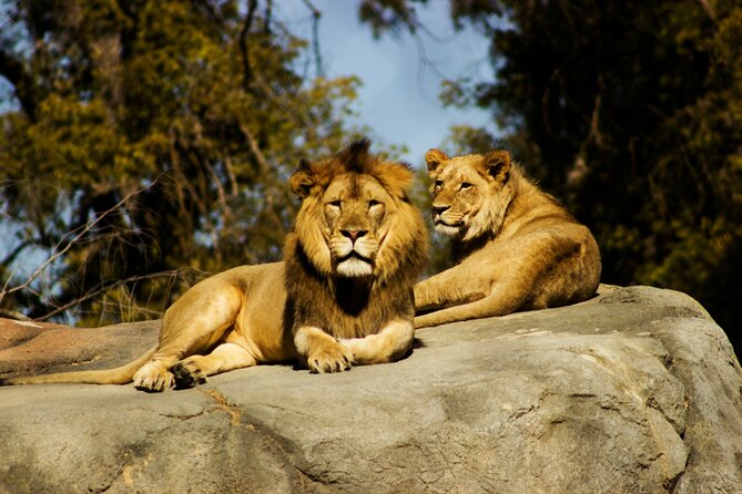 Nairobi National park And Giraffe Center: Free Wi-Fi Connection - Who will get the most from this outing
