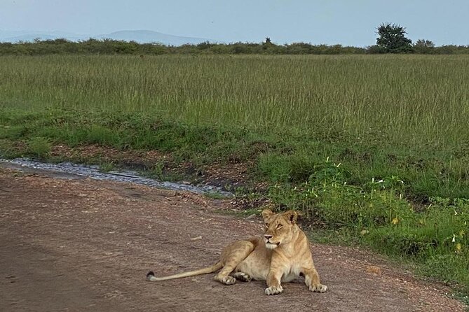 Nairobi national park and Giraffe center - Why the private safari vehicle matters