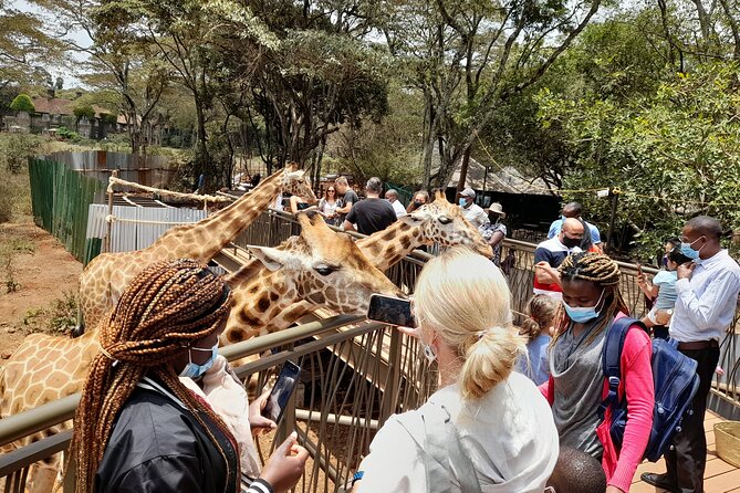 Nairobi: National park, baby Elephant, Giraffe center - Karen Blixen Museum: a short look at colonial Kenya