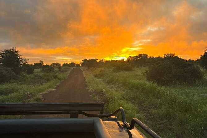 Nairobi National Park Daily Game drives. - The open-roof 4x4 makes a difference