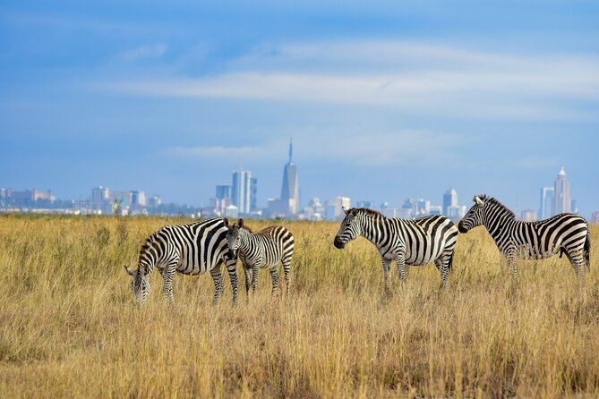 Nairobi: National Park Early Morning or Afternoon Game Drive - The $30 price needs a closer look