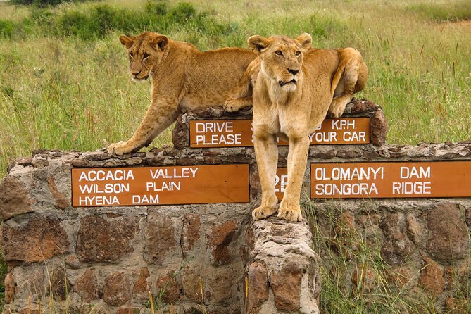 Nairobi National Park, Elephant Orphanage and Giraffe Centre - Nairobi National Park, a safari beside the city