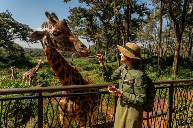 Nairobi National Park, Elephant Orphanage and Giraffe Centre - What the $40 price really covers