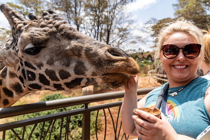 Nairobi National Park, Elephant Orphanage and Giraffe Centre - Guides, vehicles, and practical comfort
