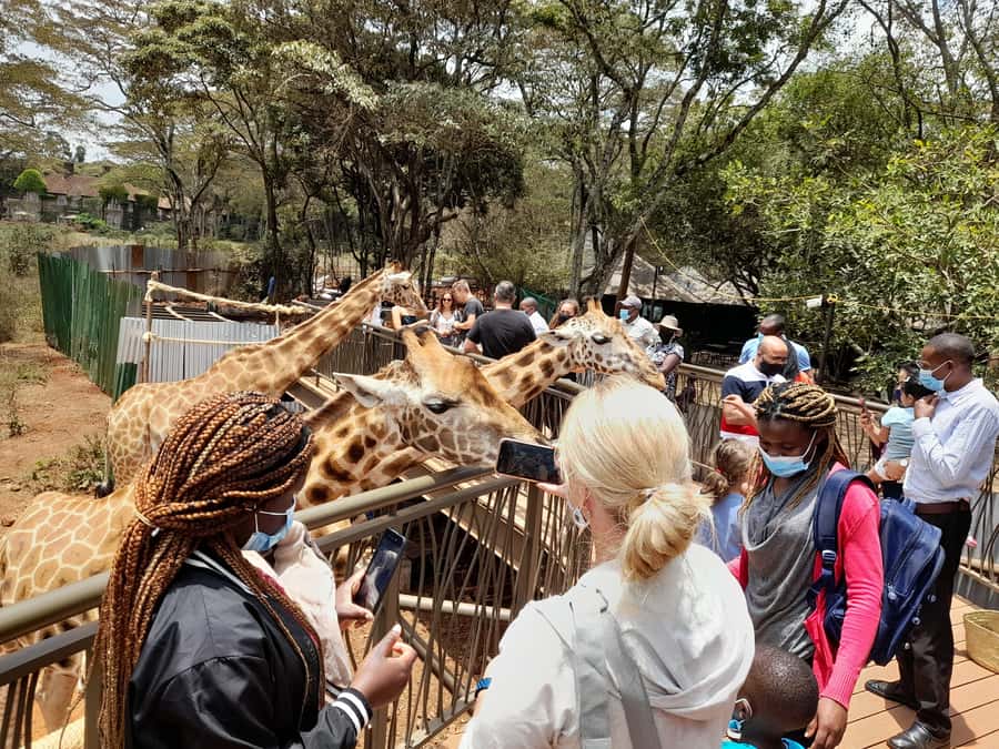 Nairobi: National Park, Elephant Orphanage, and Giraffe Tour - Nairobi National Park with skyscrapers in the background