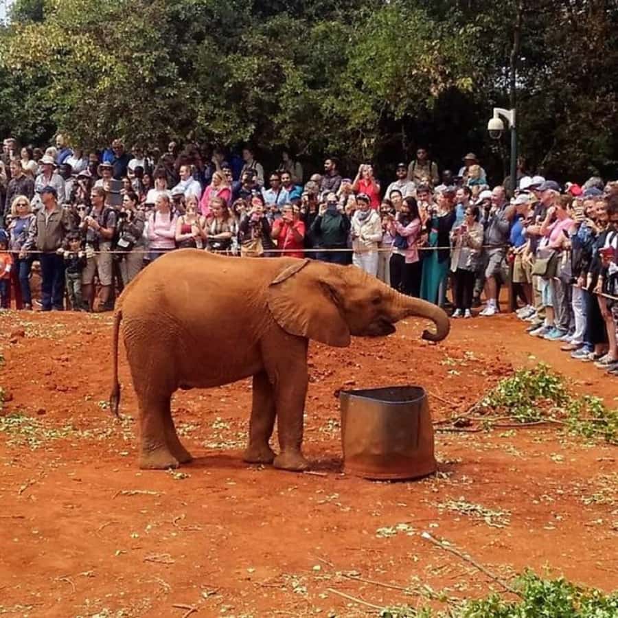 Nairobi: National Park, Elephant Orphanage, and Giraffe Tour - Recycled jewelry at Kobe Tough Beads Factory