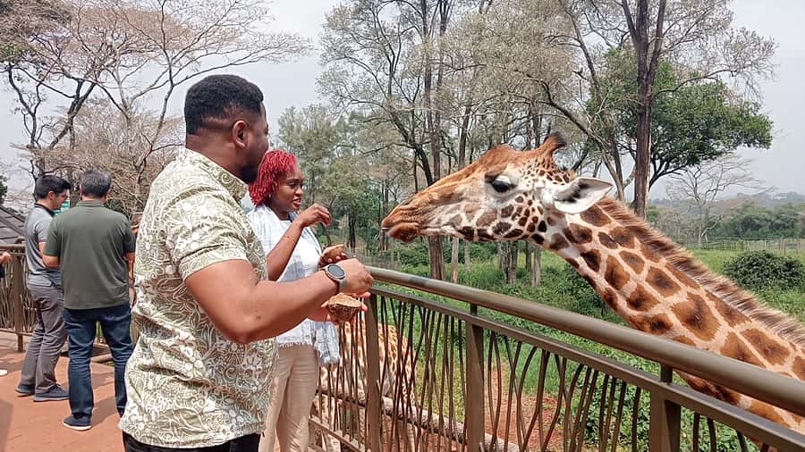Nairobi: National Park, Elephant Orphanage, & Giraffe Centre - A full Nairobi day built around the 11am elephant visit