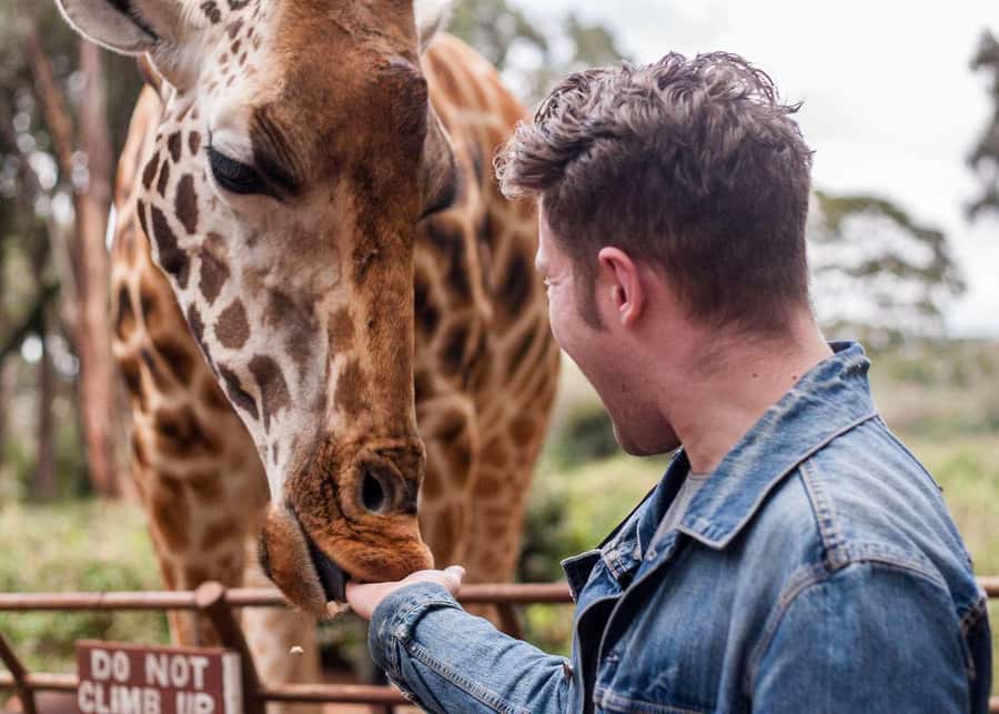 Nairobi: National Park, Elephant Orphanage, & Giraffe Centre - Guides, transport, and flexibility