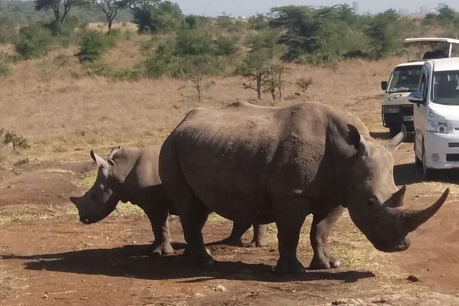 Nairobi National Park, Elephant Orphanage, Giraffe Centre Tour - Nairobi National Park in two to three hours