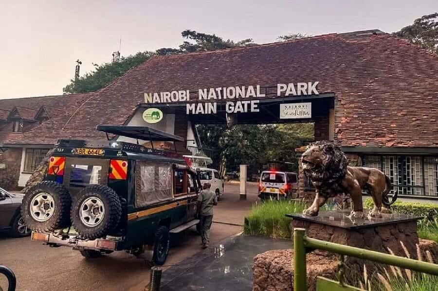 Nairobi: National Park, Elephant Orphanage & Giraffe Tour - David Sheldrick Wildlife Trust and the bottle-feeding hour
