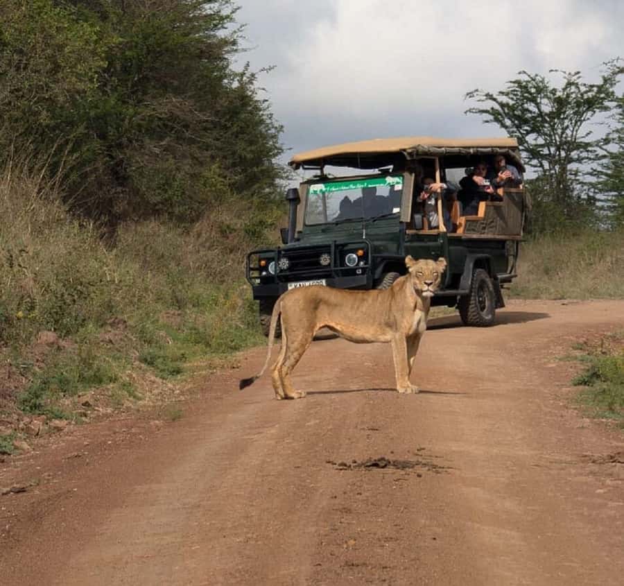 Nairobi: National Park, Elephant Orphanage & Giraffe Tour - Nairobi National Park: safari without leaving the city