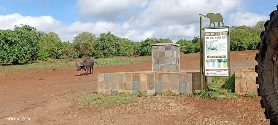 Nairobi: National Park, Elephant Sanctuary, & Giraffe Center - What the $35 price really covers