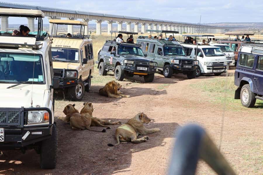 Nairobi National Park Evening Game Drive - Entering Nairobi National Park