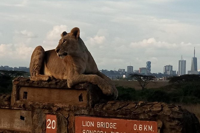 Nairobi National Park Game Drive With Free Pick Up Group Joining - Cancellation and booking details worth knowing