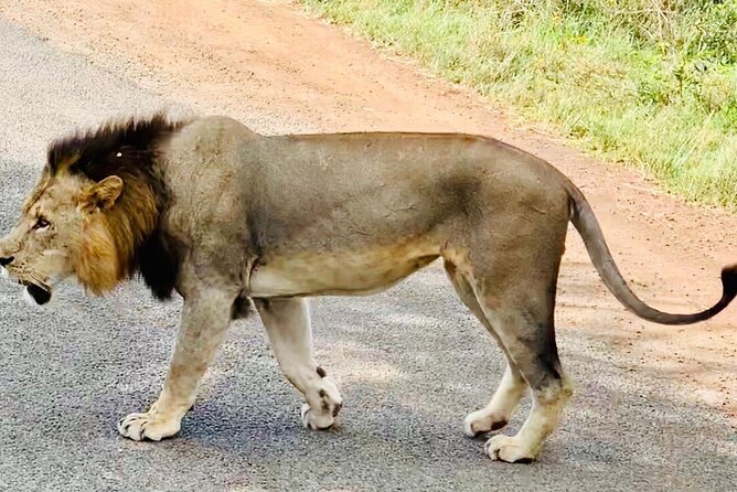 Nairobi National Park,Giraffe Centre, Karen Blixen Museum. - Who will enjoy this tour most
