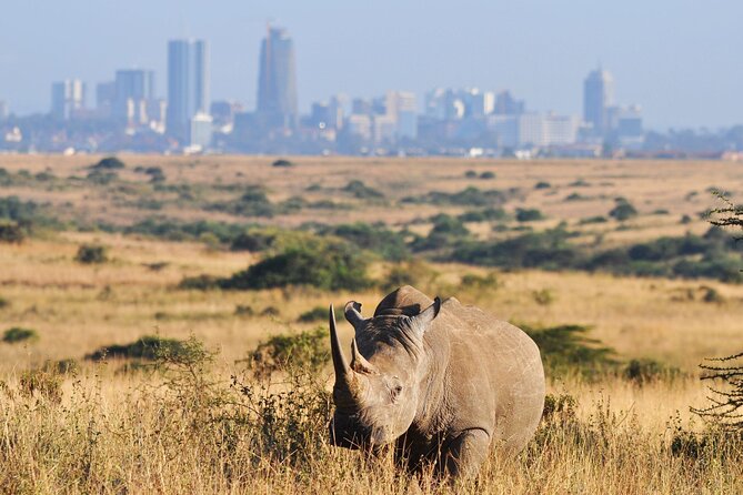 Nairobi National Park Group Shared Tour - Wildlife, birds, and the Big Five