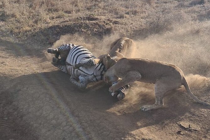 Nairobi National Park Group Shared Tour - Fitting the tour around a later flight