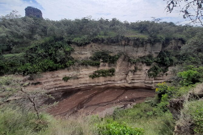 Nairobi National Park Group Tour - Picnic stops, photographs, and the city skyline