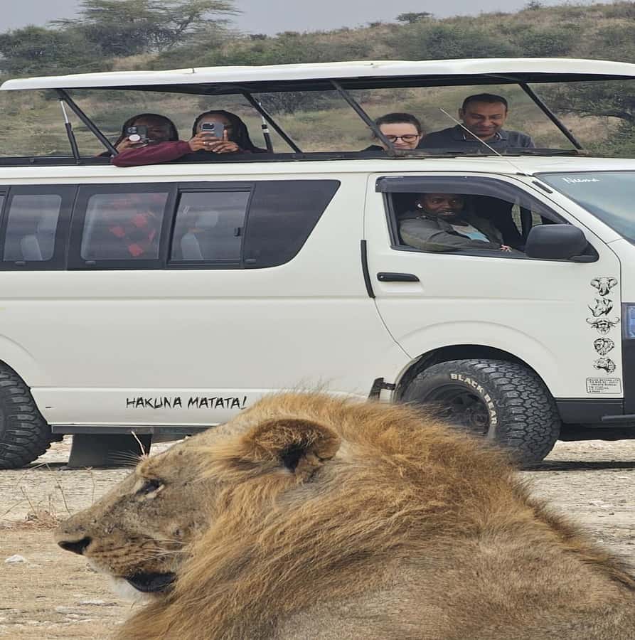 Nairobi: National Park Guided Game Drive - Key points at a glance