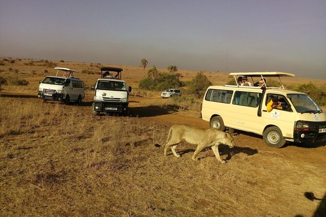 Nairobi National Park Half Day Game Drive Tour With Free WIFI - Why the city skyline adds value