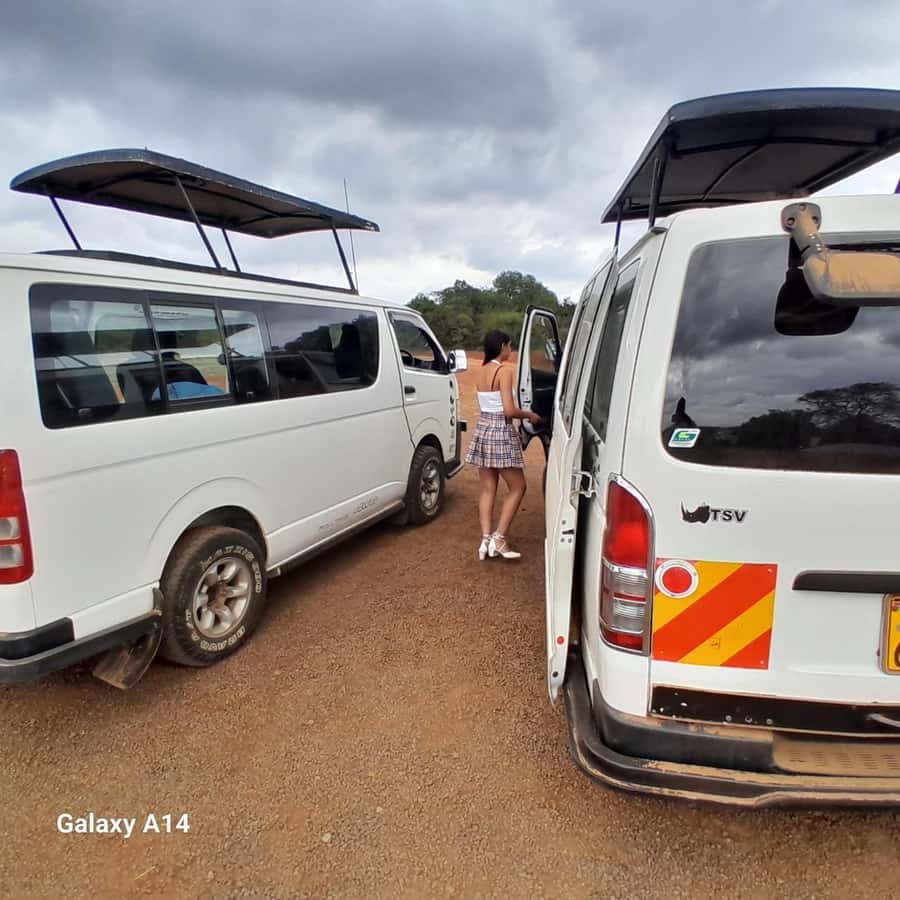 Nairobi National Park: Half-Day Group Tour with Pickup - The viewpoint break and city skyline