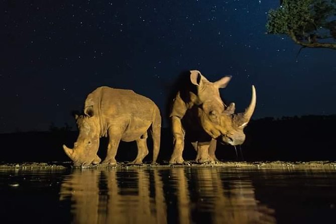 Nairobi National Park Half Day Tour - Is $194.81 a fair price?