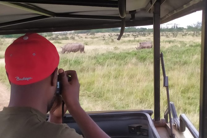 Nairobi National Park Half-Day Tour; Free Wi-Fi connection - A city safari with an unusually close horizon