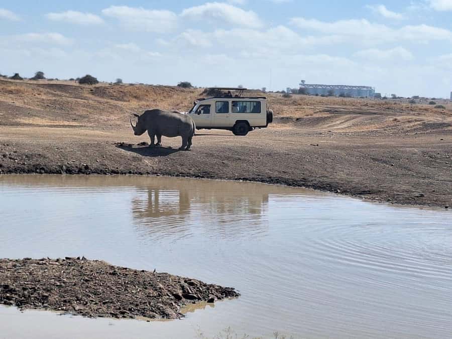 Nairobi National Park Morning Or Evening Game Drive Tour - Key points to know before booking