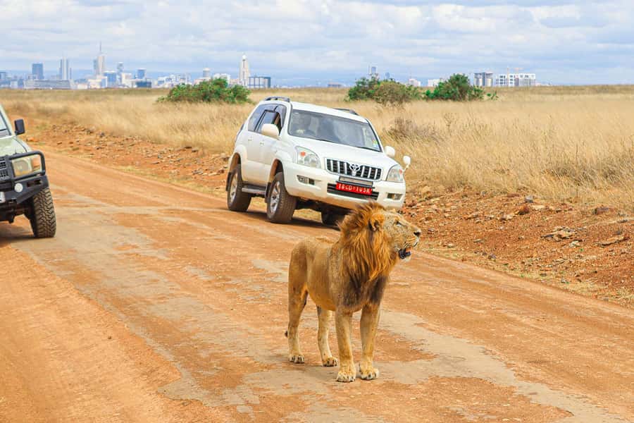 Nairobi: National Park Private Tour in 4X4 Jeep - Entering the park and passing the Ivory Monument