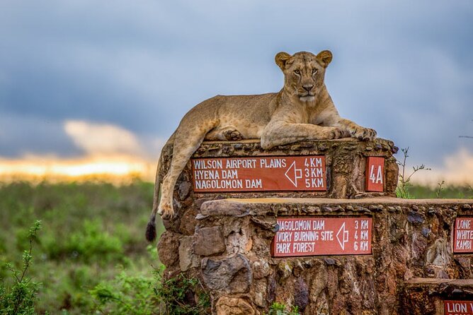 Nairobi National Park Tour - The meal option at Carnivore restaurant