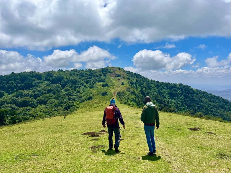 NAIROBI:Ngong Hills Day Hike,Group Tour - Indigenous Forest and the Higher Ridges