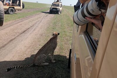Nairobi Park Wildlife Safari