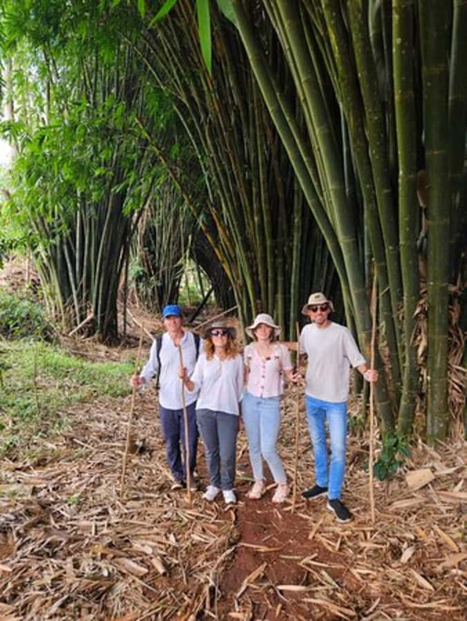 Nairobi: Purple Tea Farm Gatura Greens Day Trip - Is $99 per person fair value?