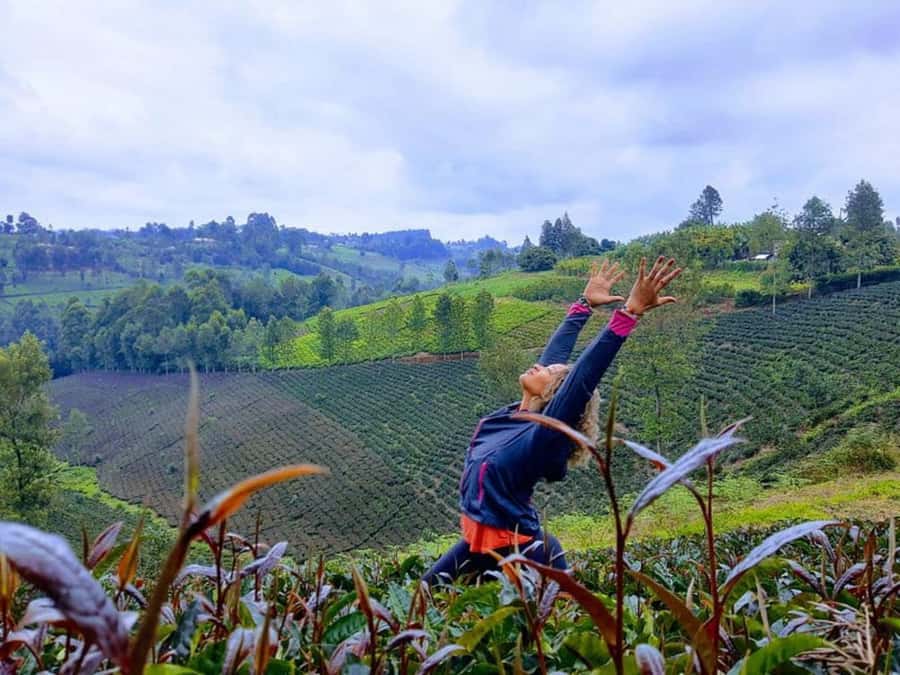 Nairobi: Purple Tea Farm Gatura Greens Day Trip - Who will enjoy this day most?
