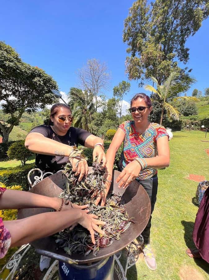 Nairobi: Purple Tea Farm Gatura Greens Day Trip - Should you book Gatura Greens?