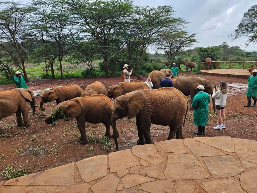 Nairobi’s Best:Elephants,Giraffes Center & Karen Blixen Tour - Woodcraft and Kazuri beads after the elephants