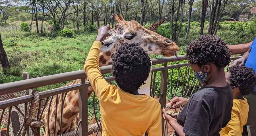 Nairobi: Sheldrick Elephant Orphanage and Giraffe Center - Key points at a glance