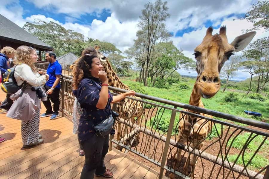 Nairobi: Sheldrick Elephant Orphanage and Giraffe Center - Watching the orphan elephants at David Sheldrick Wildlife Trust